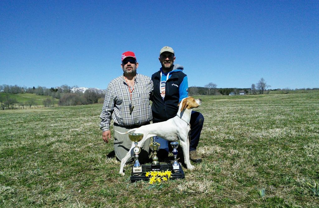 Field becassine Auvergne printemps 2019